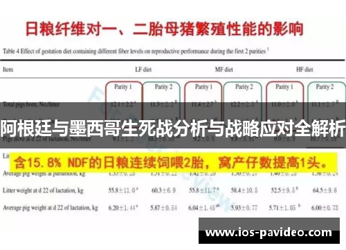 阿根廷与墨西哥生死战分析与战略应对全解析